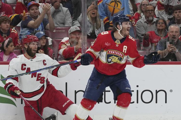 Hurricanes prevent series sweep by beating Panthers 3-0