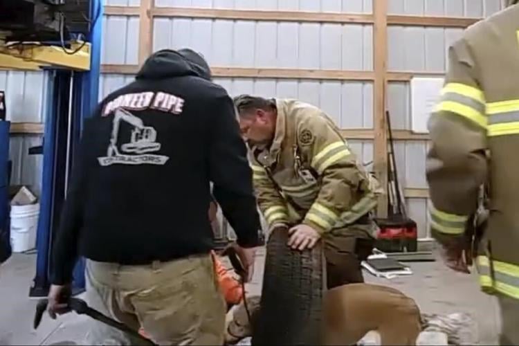 Firefighters in New Jersey come to the rescue of a yellow Labrador stuck in a spare tire