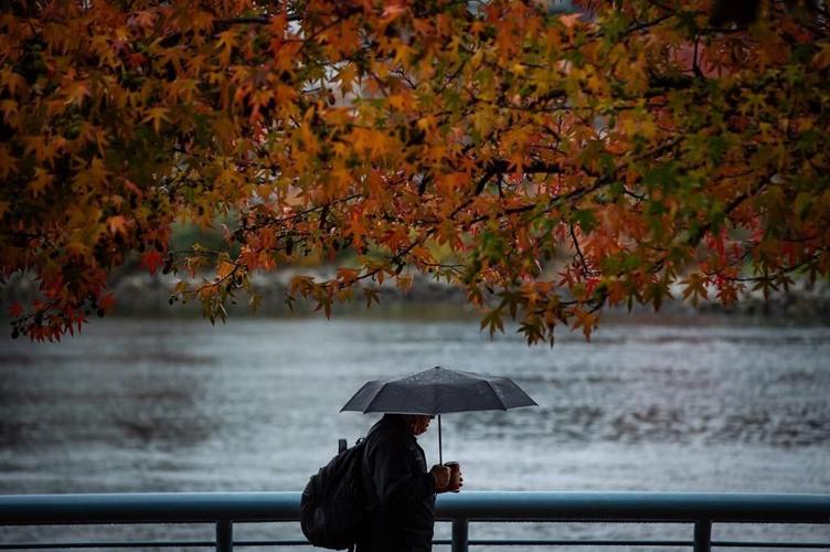 At last, rain in Vancouver and elsewhere, but much more needed to break B.C. drought