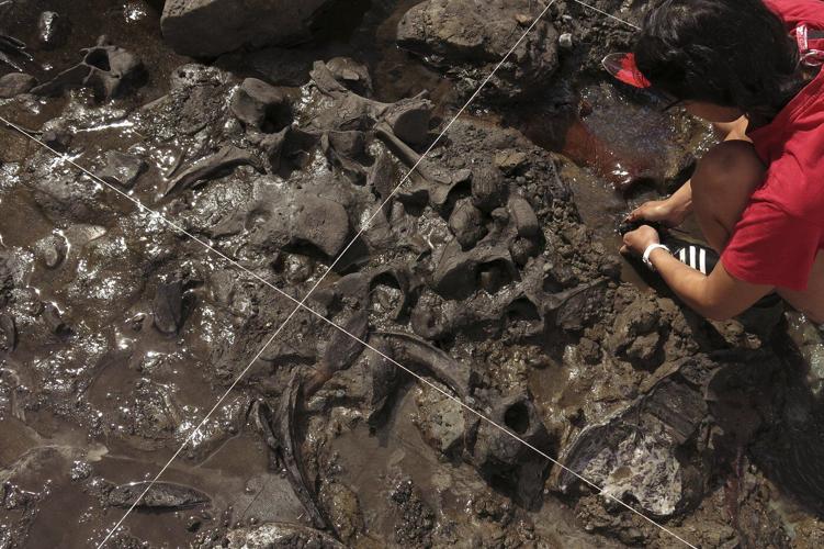 Giant sloths and mastodons coexisted with humans for millennia in Americas, new discoveries suggest