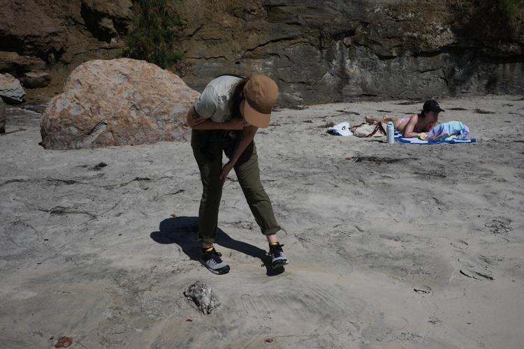 A marine heat wave caused seabird deaths off California. El Nino could worsen the die-off