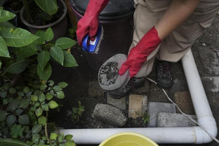 In Mexico City, women water harvesters help make up for drought and dicey public water system