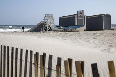 Officials believe a young shark bit a woman at a New York beach