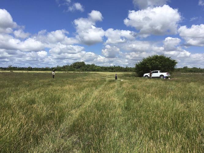 Archaeologists discover 4,000-year-old canals used to fish by predecessors of ancient Maya