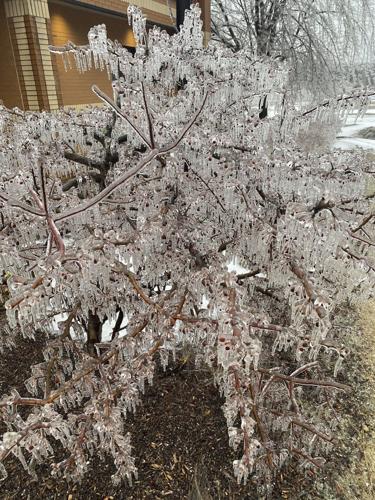 Rain turns to ice, cuts power in Great Lakes region while Tennessee braces for wild weather