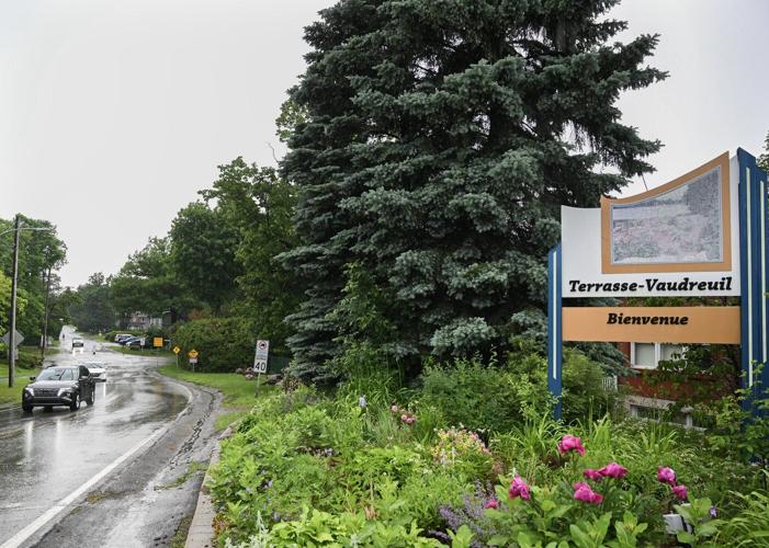 Quebec town of Terrasse-Vaudreuil recognizes trees as living beings with rights