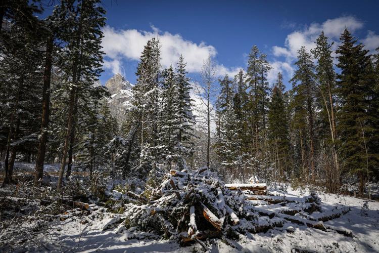 Planned glampsite renews longstanding Canmore concerns on growth pressures