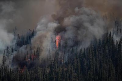 C.-B.: des données sur les feux de forêt sont inexactes, selon une étude