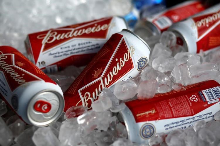 World Cup organizers to ban alcoholic beer sales at stadiums