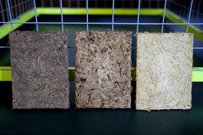 Harvesting hops for beer produces a lot of waste. These German groups are seeking to fix that