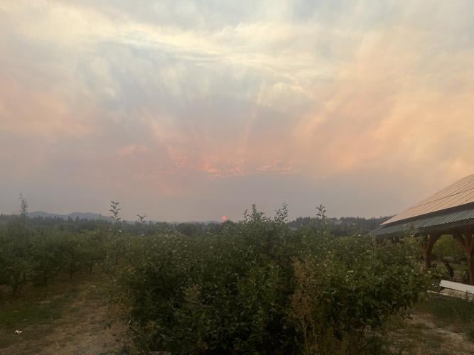 'We will lose a lot of our annual crops': B.C. farmers face losses due to wildfires