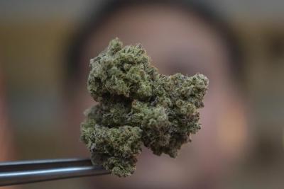 Thailand's prime minister wants to outlaw cannabis, 2 years after it was decriminalized