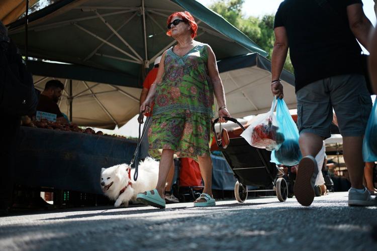 Greece's tax revolution harnesses big data and drones to shake off a legacy of crisis