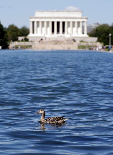 Lawmakers demand answers as turmoil over Reflecting Pool repair continues