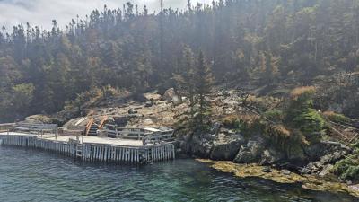 'Extreme wildfire behaviour' forces evacuation of Newfoundland town