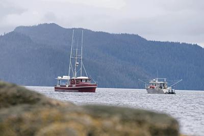 Alaska salmon season back on after court halts closure that sought to protect orcas