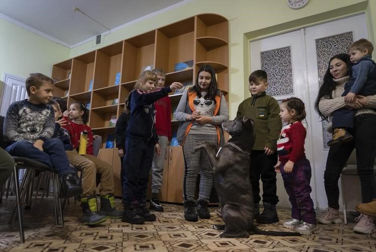 Dog therapy for kids facing the trauma of the war in Ukraine