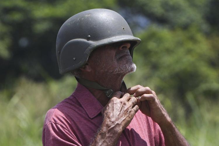 Pink dolphins, Independence Day celebrations and more top photos this week from Latin America