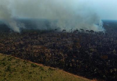 Amazon deforestation in Brazil remains near 15-year high