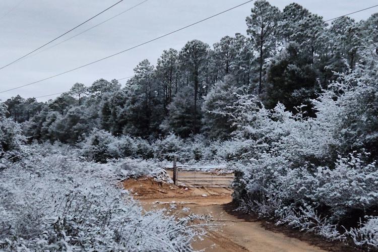 Small part of Sunshine State becomes Snowy State as Florida gets snow second year in a row