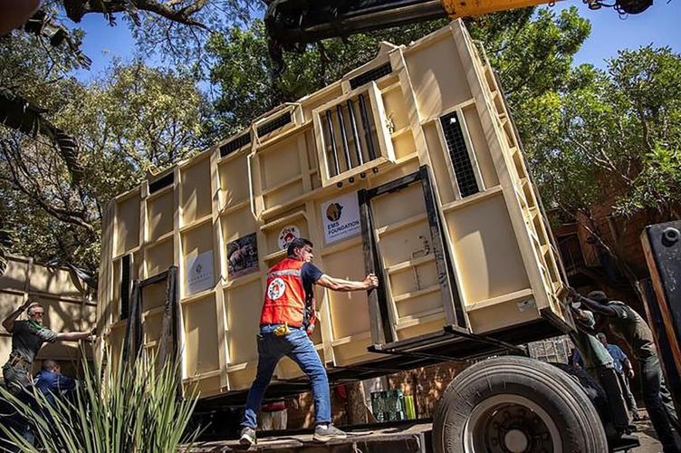 How do you get a grumpy 4-ton elephant to a new home 120 miles away? Call the elephant movers