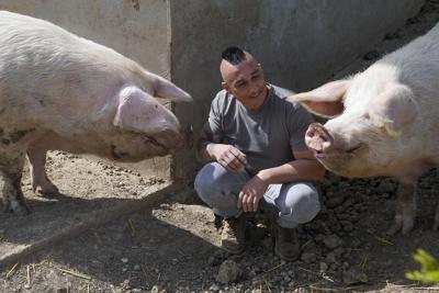 Serbia's only horse sanctuary has cared for dozens of tortured, old and neglected animals