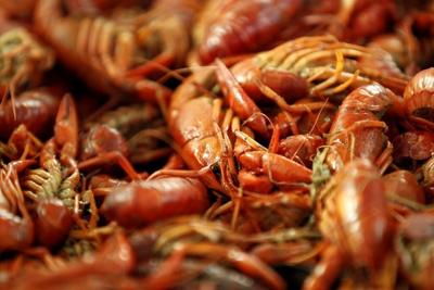 Drought pinched Louisiana's crawfish harvest, but mudbug fans are weathering the shortage