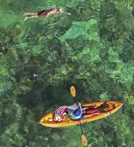 Former Olympic champion and college All-American win swim around Florida's Alligator Reef Lighthouse
