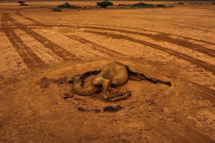 Somalia is in a deadly drought again. Most humanitarian aid isn't there this time