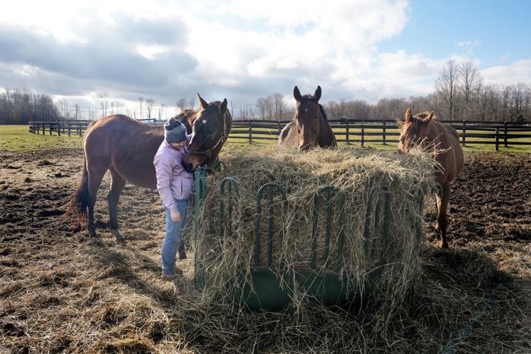 Photo-Gallery-RAC-Da-Silva-Wellness 03