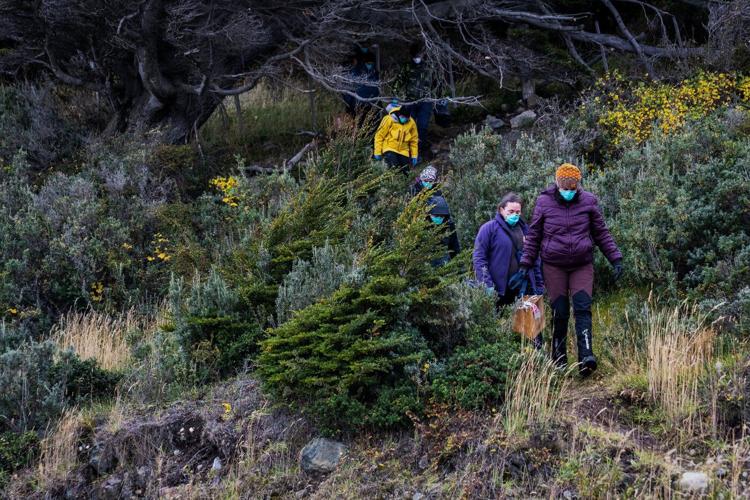 Argentines hunting for source of hantavirus outbreak trap rats in southernmost city