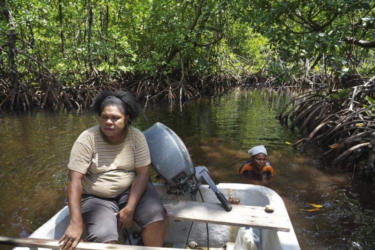 Papuan women's mangrove forest in Indonesia is increasingly threatened by development and pollution