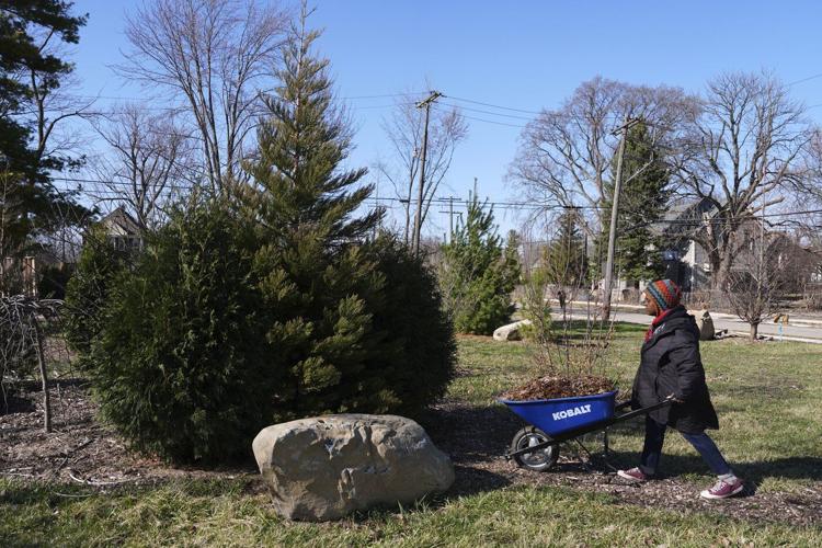 A sequoia forest in Detroit? Plantings to improve air quality and mark Earth Day