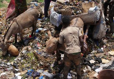 The trash in Mali's capital is piling up. Donkey carts are coming to help