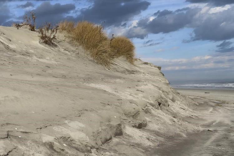 Judge: Defiant NJ beach town can sue for $21M in dune costs
