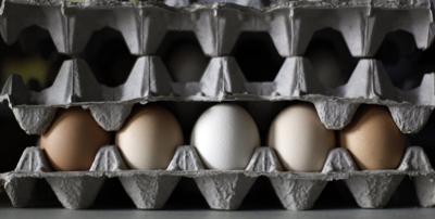 Eggs in B.C., Ont., Man., recalled over salmonella concerns