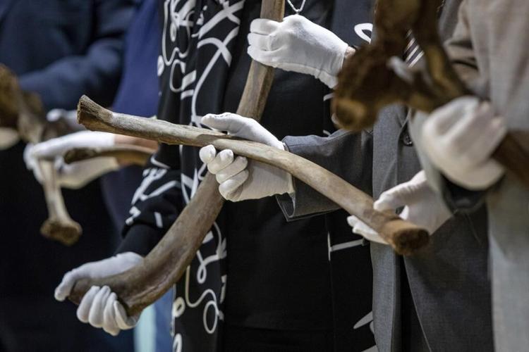 Mastodon bones unearthed by Michigan work crew go on display in museum