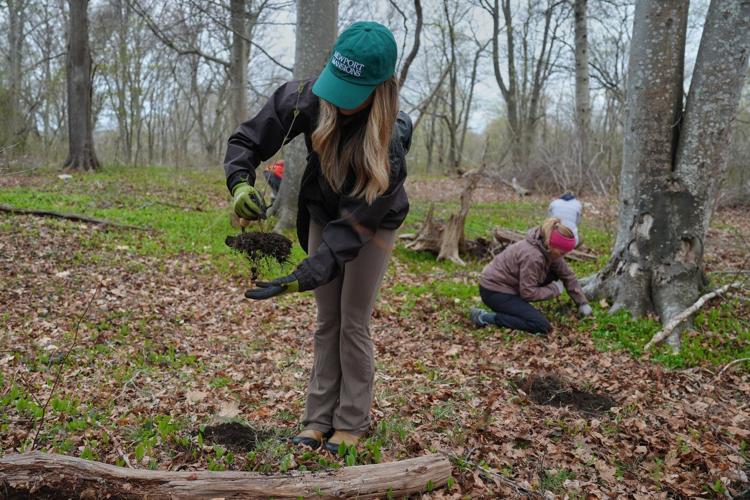 Study says trees counter half the world's urban heating, but not in the places that need it most