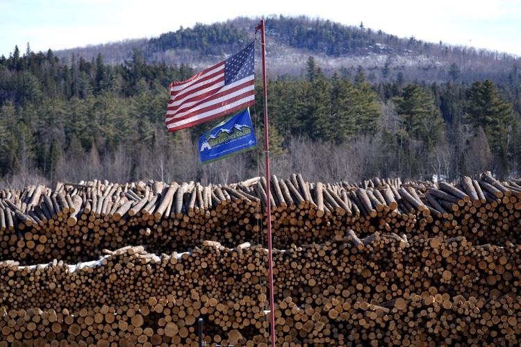 PHOTO COLLECTION: Trump tariffs lumber