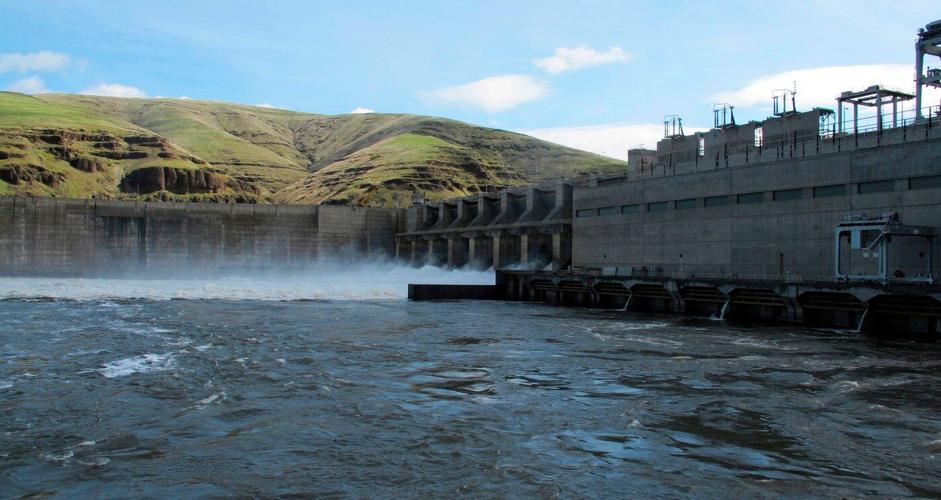 Judge orders changes to Columbia and Snake river dam operations to help 'disappearing' salmon
