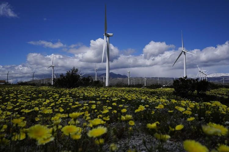 Wind industry predicts bounceback and rapid growth in 2023