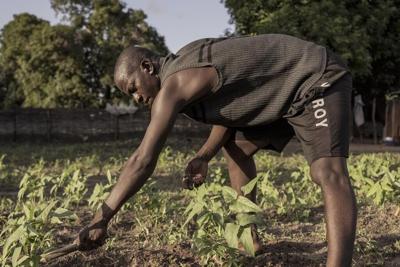 Gambia may have upheld its ban on female cutting, but the fight goes on away from parliament