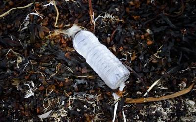 Des milliards de bouteilles en plastique se retrouvent dans l'environnement canadien