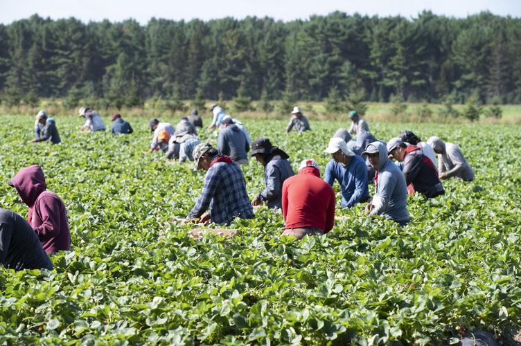 Rural B.C. communities ask province to support foreign worker program changes