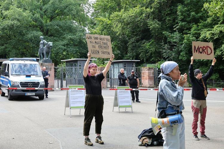 A German zoo faces a backlash after killing 12 healthy baboons