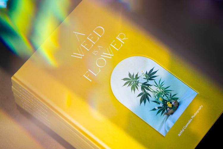 What to know about a federal order reclassifying medical marijuana as a less dangerous drug