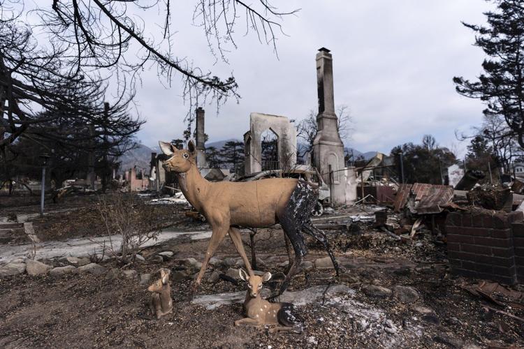 PHOTO COLLECTION: California Wildfires Aftermath