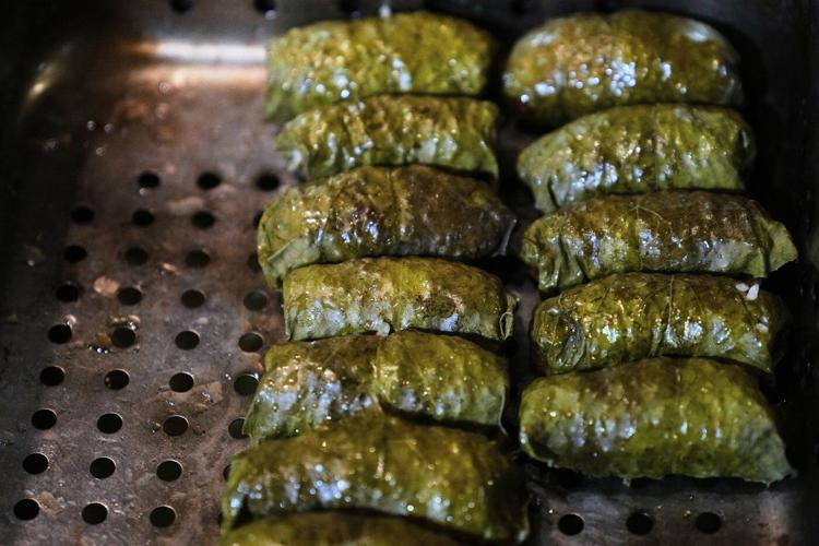 Foraging revival: How wild food enthusiasts are reconnecting with nature