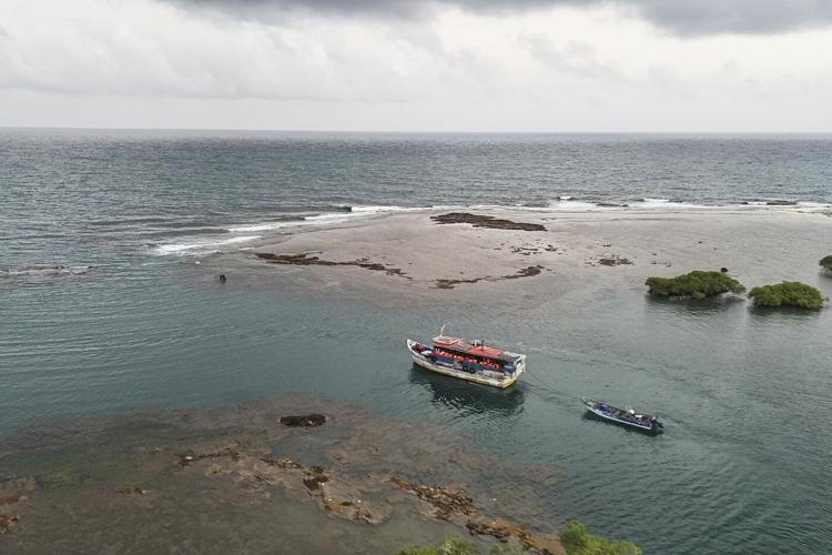 14,000 US-bound migrants have returned south since Trump border changes, UN says