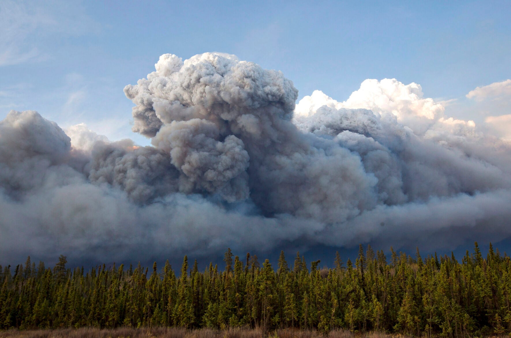 Alta Wildfire 20160504